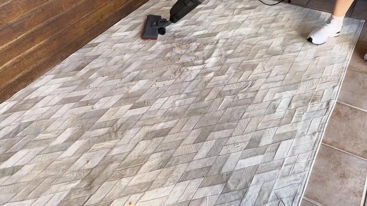 Aspirador vertical recolhendo grãos e resíduos sobre o tapete