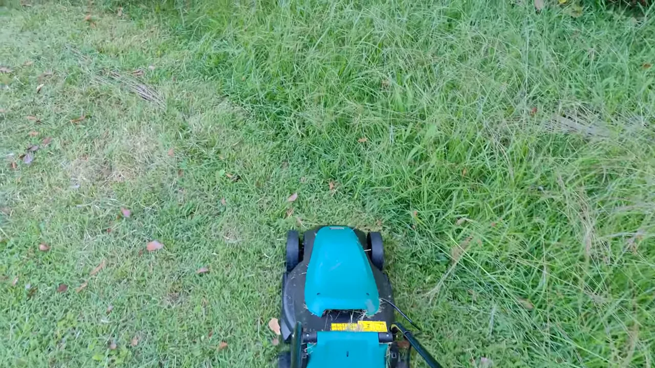 Cortador elétrico Tekna LM320EBN cortando grama alta em passada reta