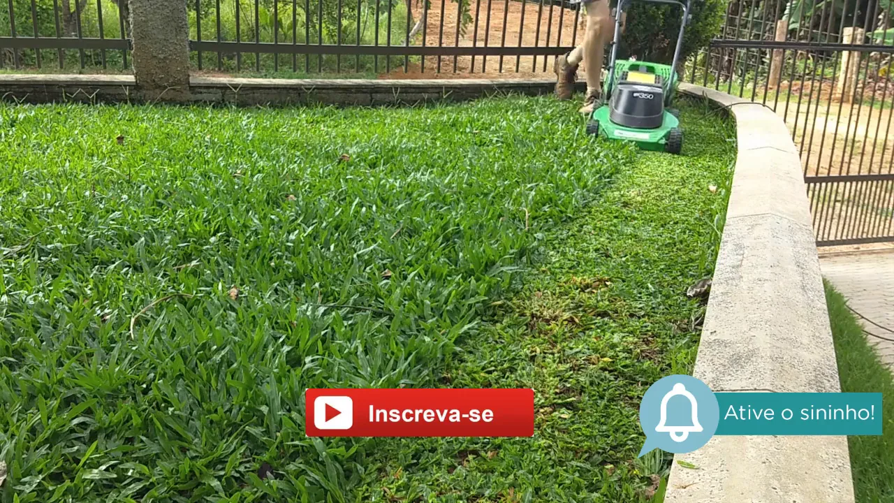 Cortador de grama Trapp WM 350 cortando o gramado residencial