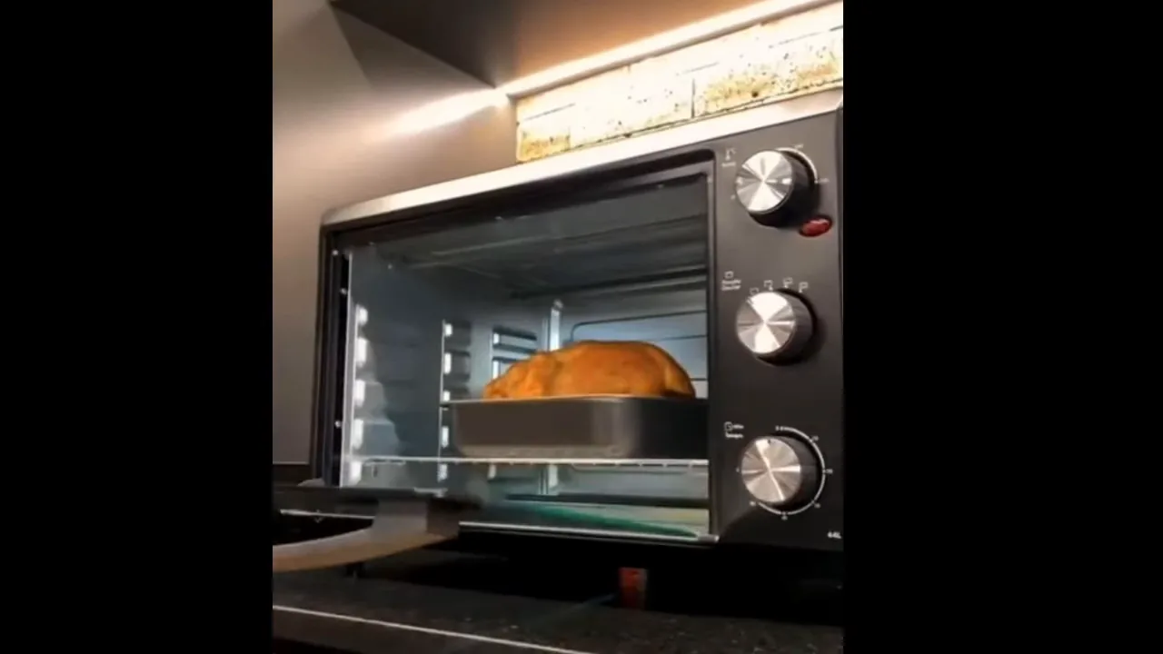 Abertura da porta e retirada do assado do forno elétrico