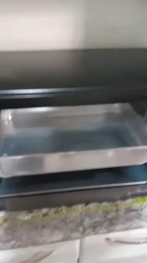 Inserção de assadeira retangular grande na grelha interna do forno