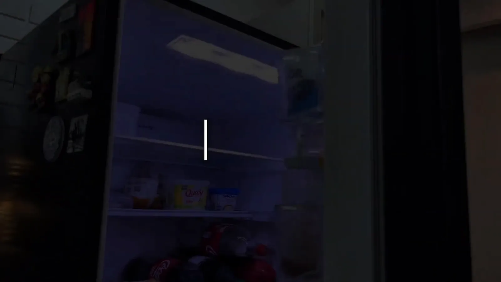 Compartimento interno do refrigerador com iluminação LED e prateleiras organizadas