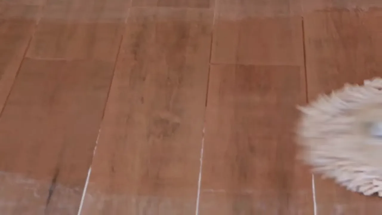 Passando o mop de microfibra para secar o piso