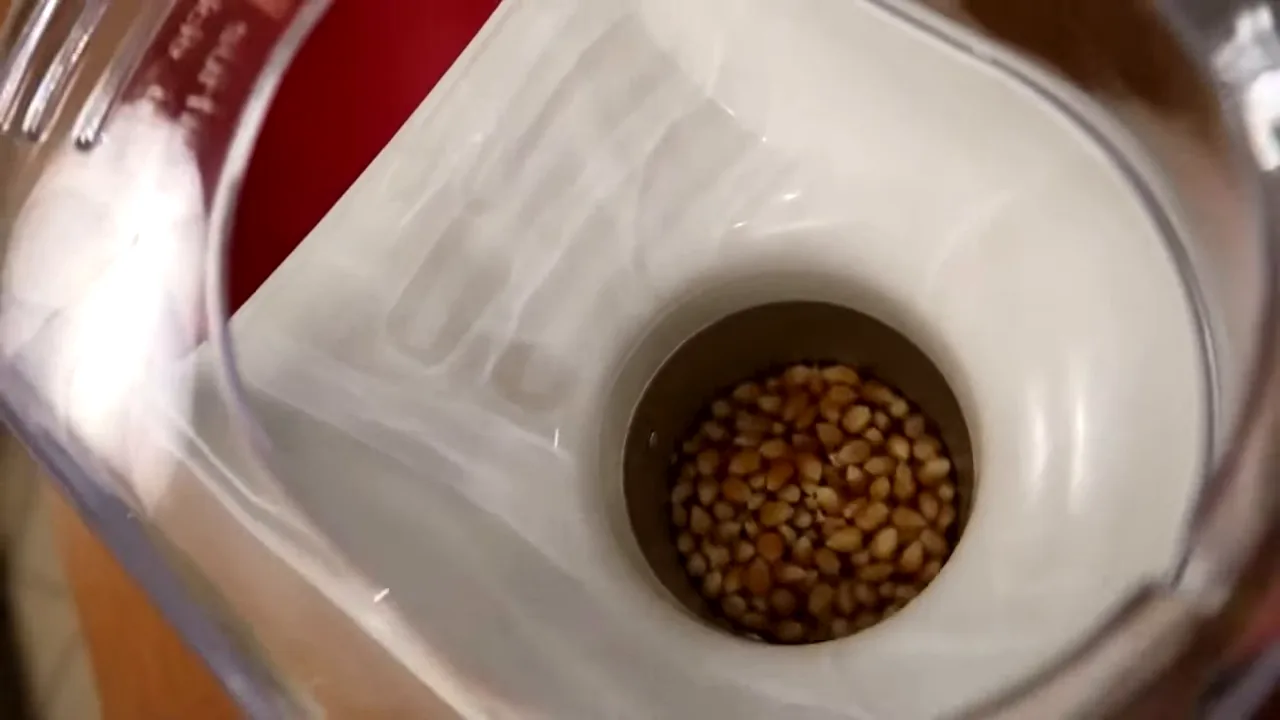 Grãos de milho girando na câmara aquecida por ar quente