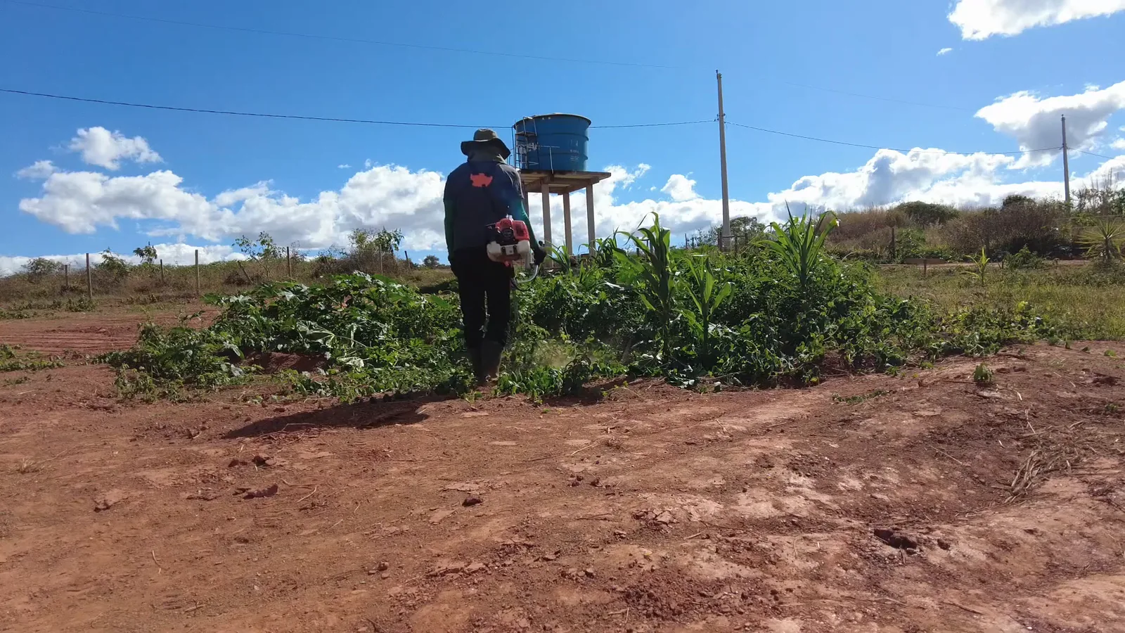 Roçadeira Vulcan VR620H em operação cortando mato no sítio