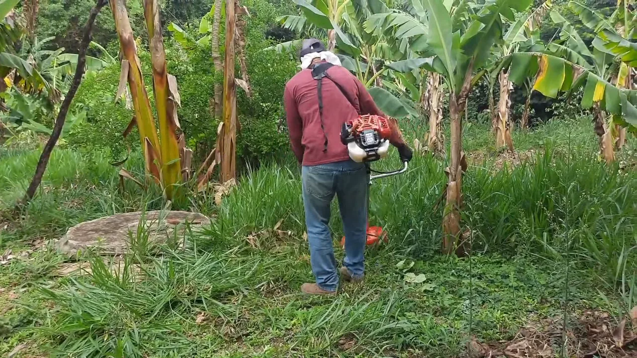 Roçadeira a gasolina operando no corte de capim no terreno