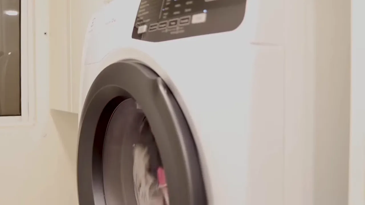 Secadora Electrolux girando o tambor durante o ciclo de secagem