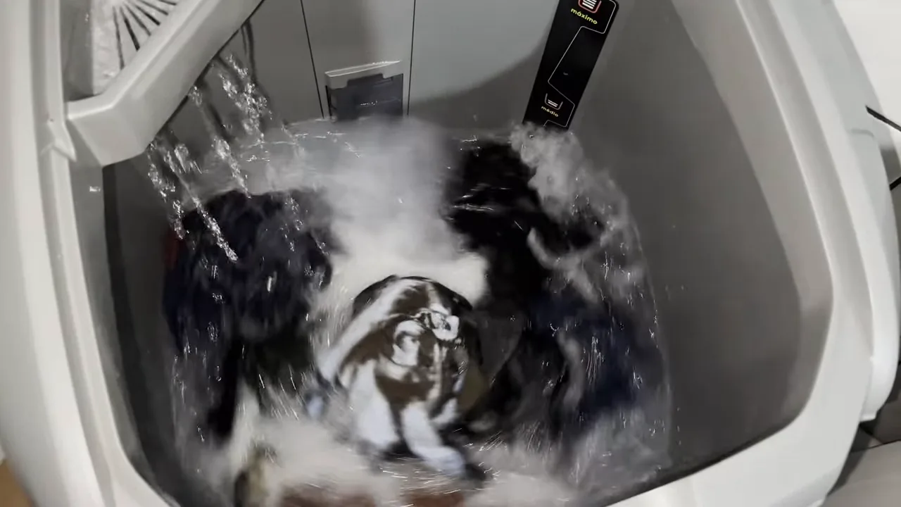 Tanquinho Colormaq agitando roupas com entrada de água ativa