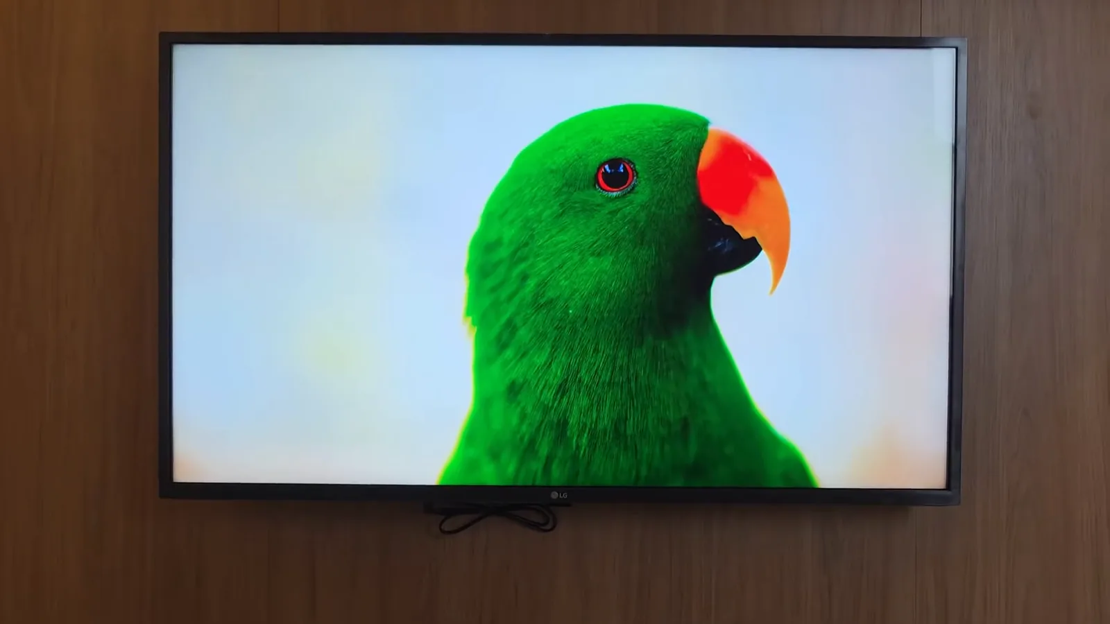 Smart TV de 43 polegadas exibindo imagem colorida de pássaro