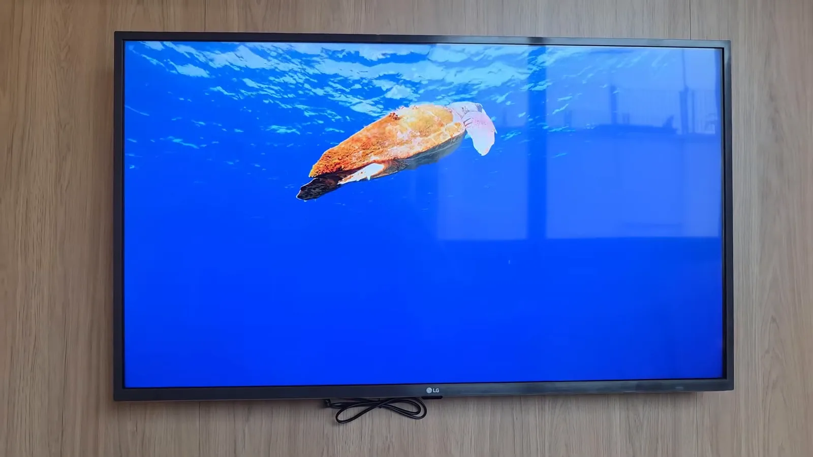 Smart TV executando vídeo com tartaruga marinha em águas cristalinas