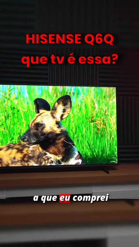 Painel QLED da TV Hisense Q6Q reproduzindo cores vibrantes e nítidas