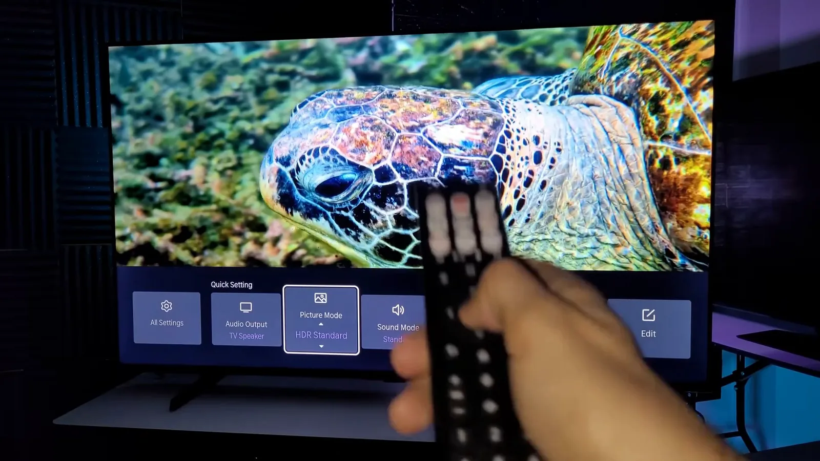 Smart TV exibindo imagem subaquática nítida com tartaruga marinha em destaque
