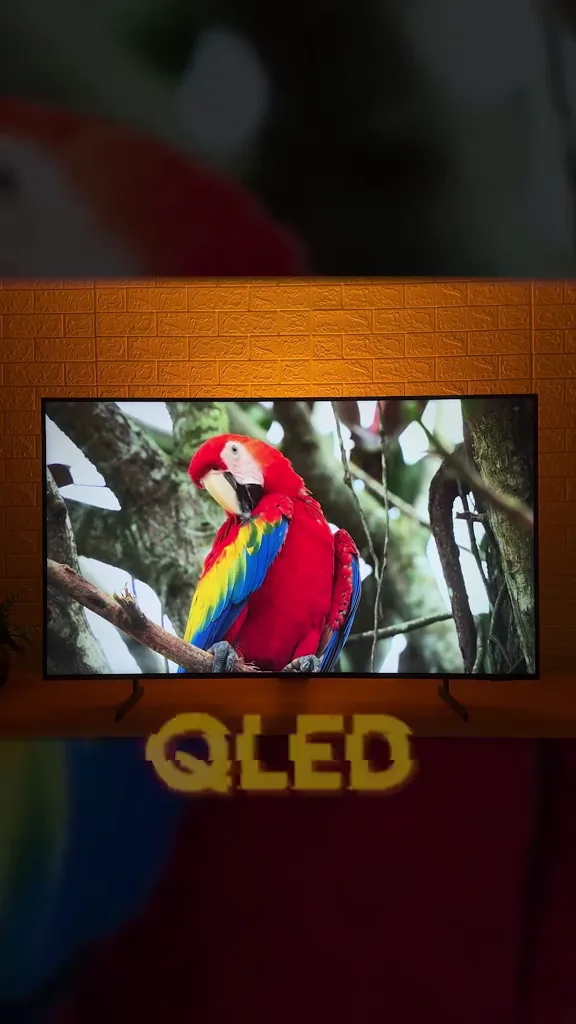 Smart TV Samsung QEF1 exibindo arara colorida com cores vivas e alto contraste