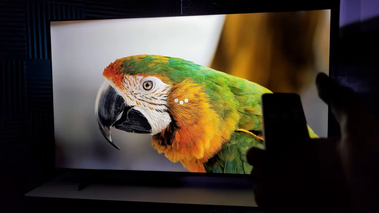 Smart TV reproduzindo cores vivas de arara em painel QLED