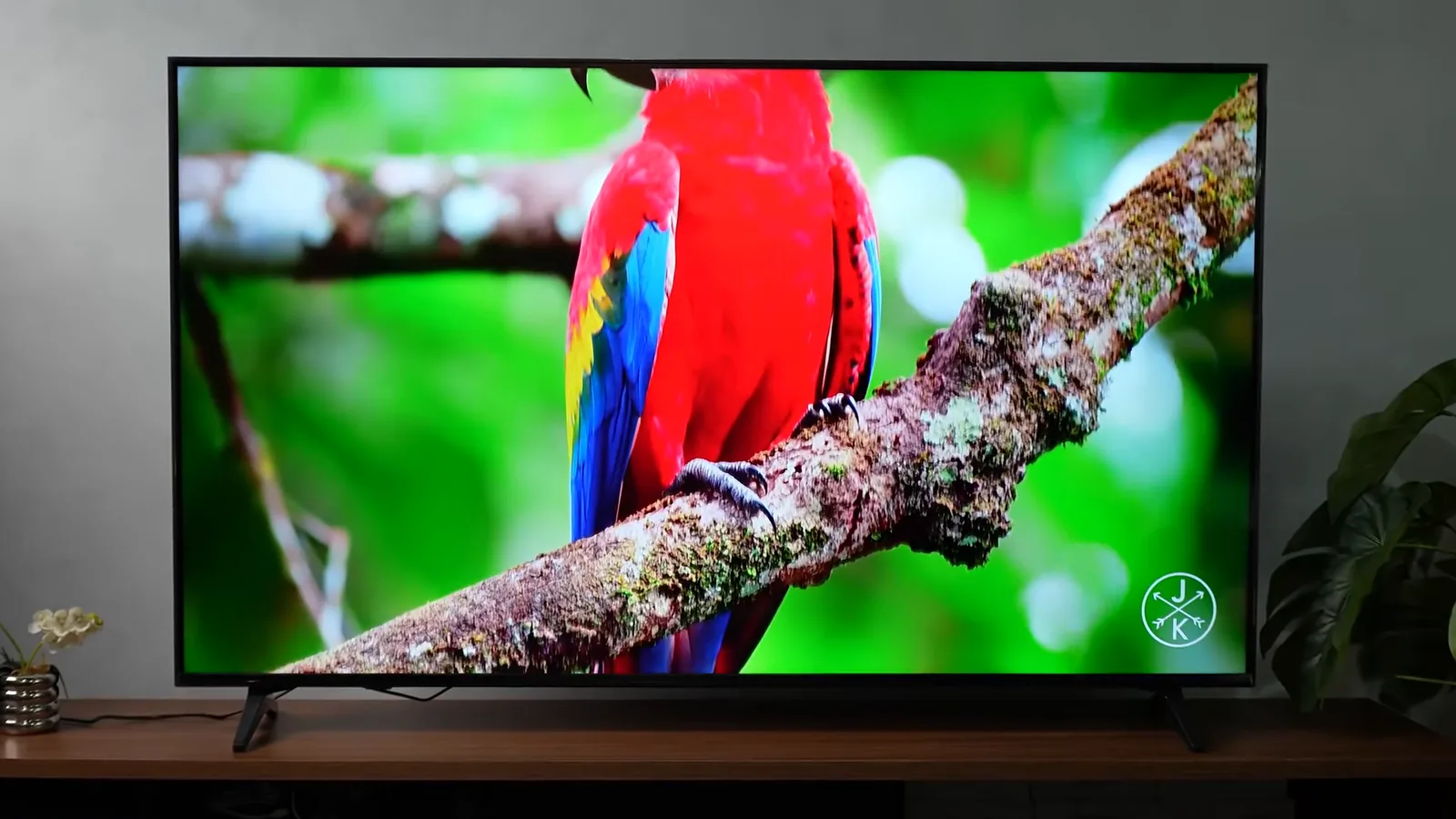 Smart TV LG QNED73 exibindo imagem vibrante de arara colorida