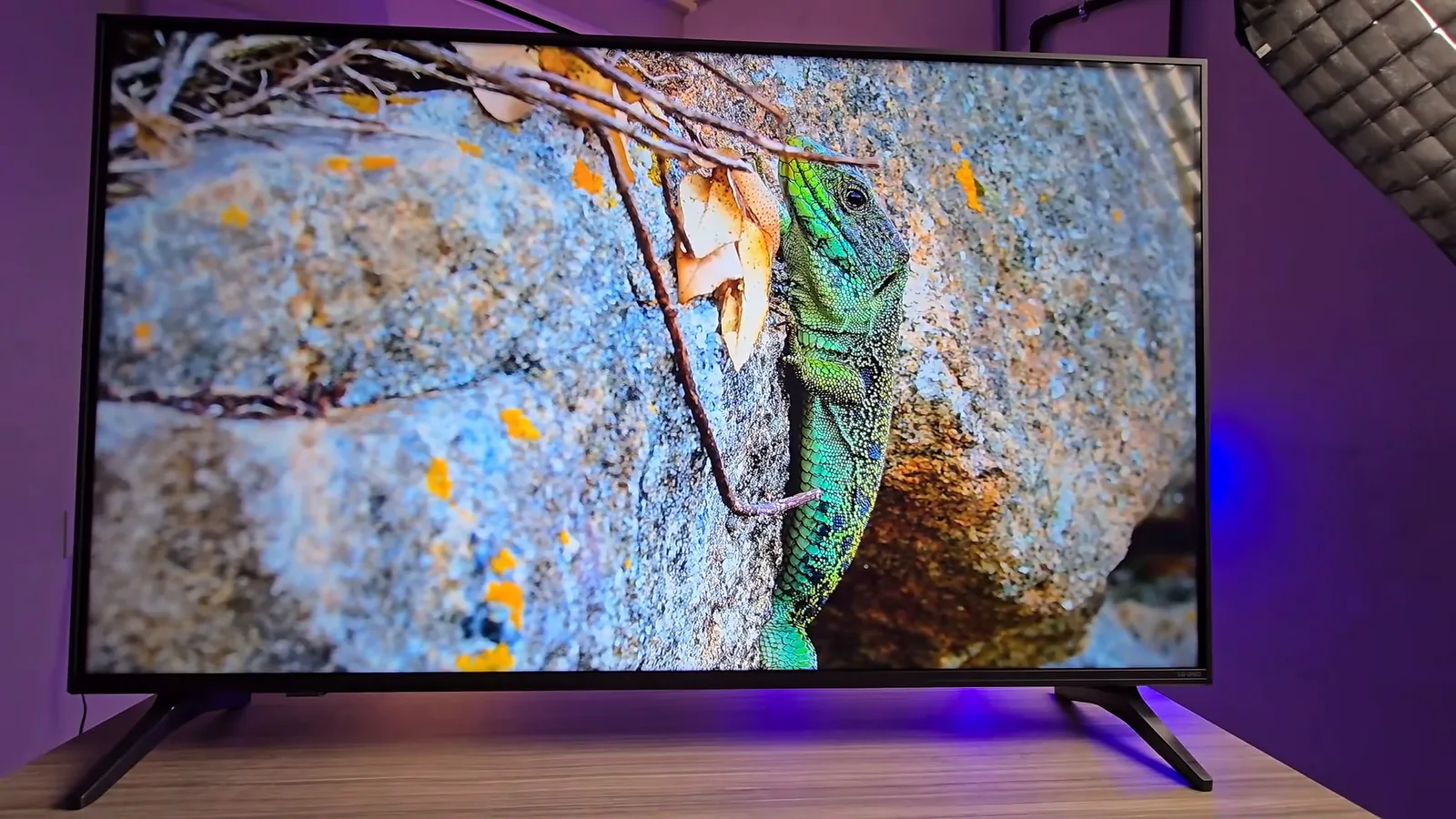 Smart TV LG QNED73 exibindo imagens com cores vívidas