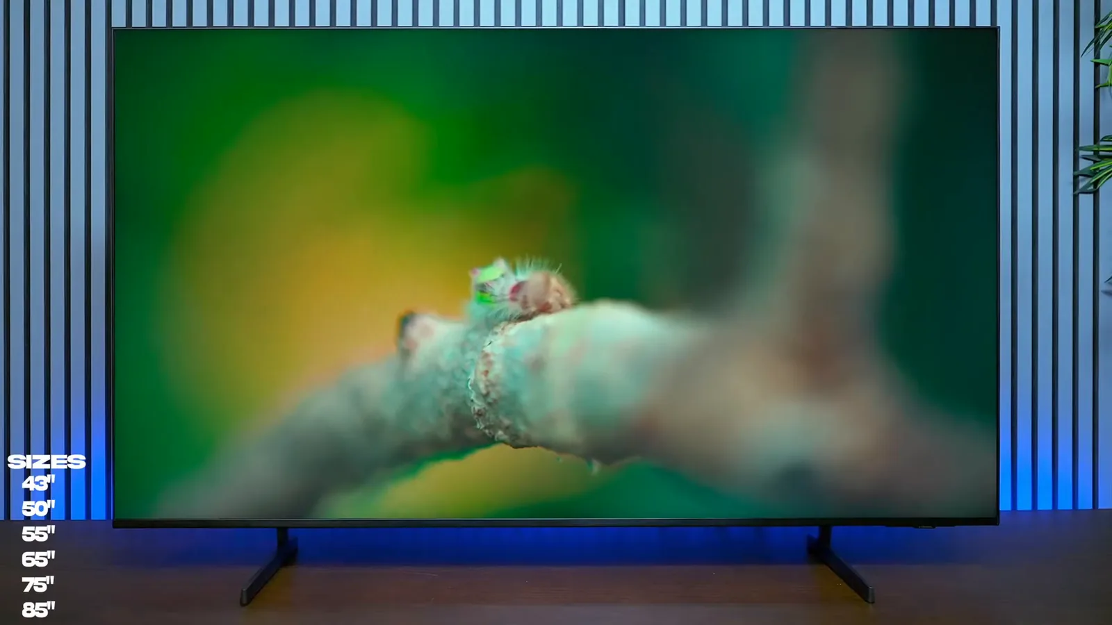 Smart TV reproduzindo imagem com cores vivas e alta nitidez