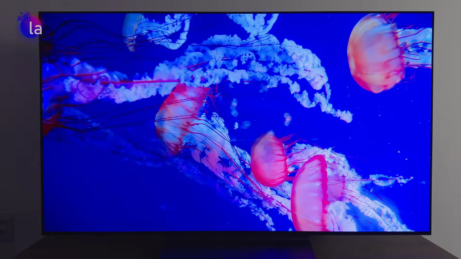 Cores vibrantes e contraste infinito em cena marinha no OLED
