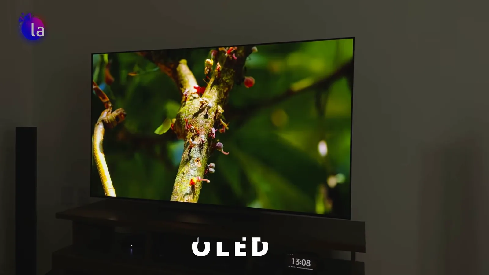 Detalhes nítidos e alta fidelidade de cor no painel evo