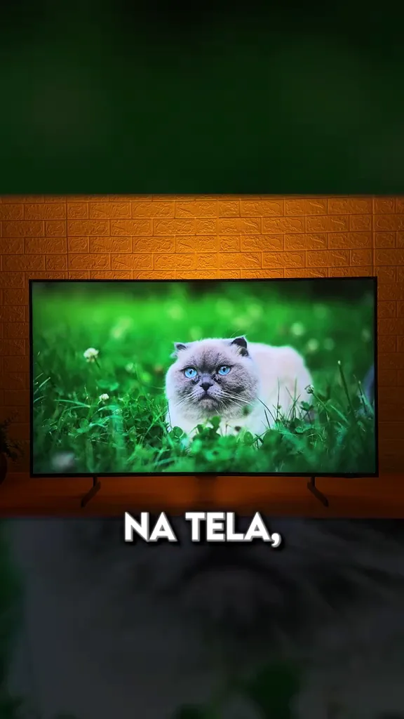 Smart TV Samsung QEF1 reproduzindo imagem de gato sobre gramado com alto contraste