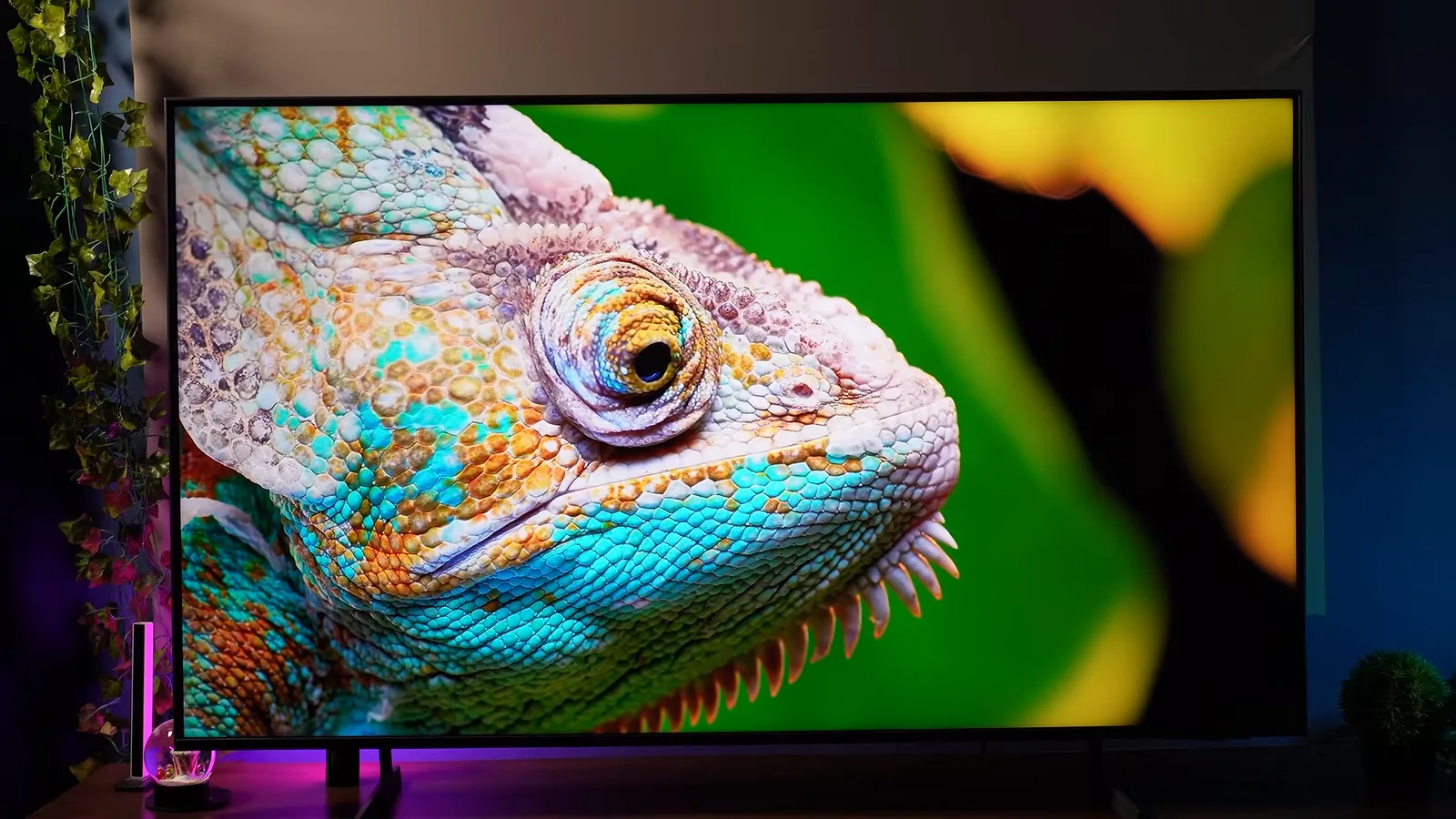 Smart TV Samsung QEF1 exibindo imagem de camaleão com cores vivas