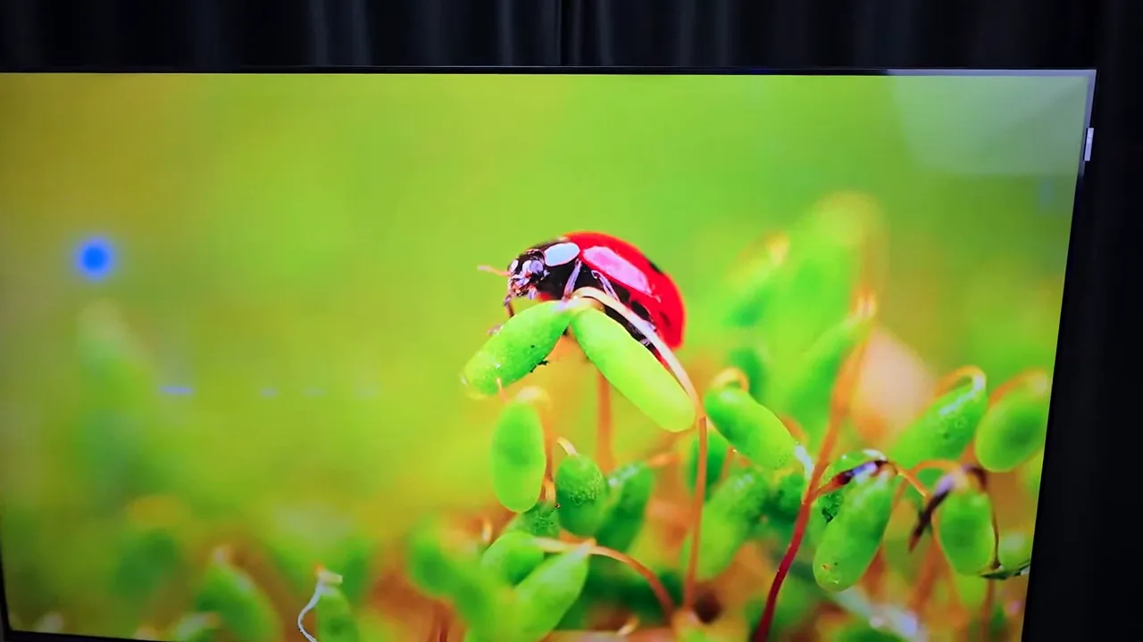 Smart TV TCL P7K exibindo imagens coloridas com alta definição