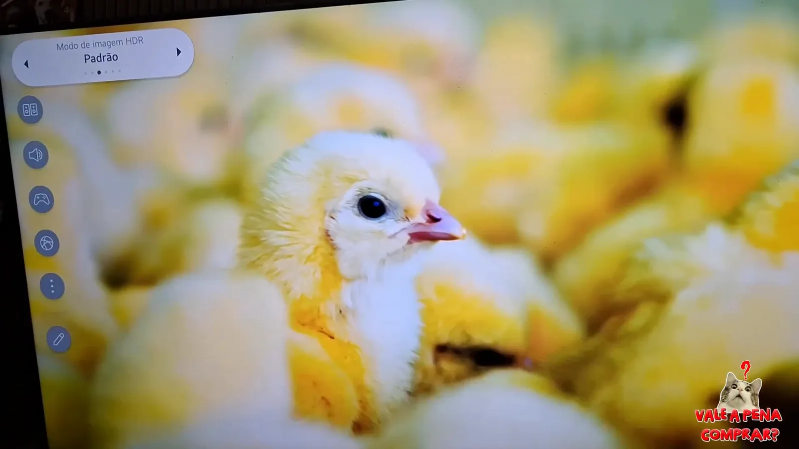 Smart TV LG 60 polegadas exibindo imagem em modo cinema