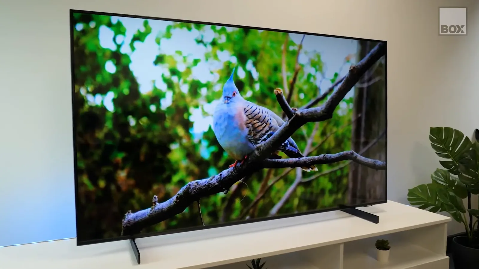 Smart TV Samsung Crystal UHD exibindo imagem nítida da natureza