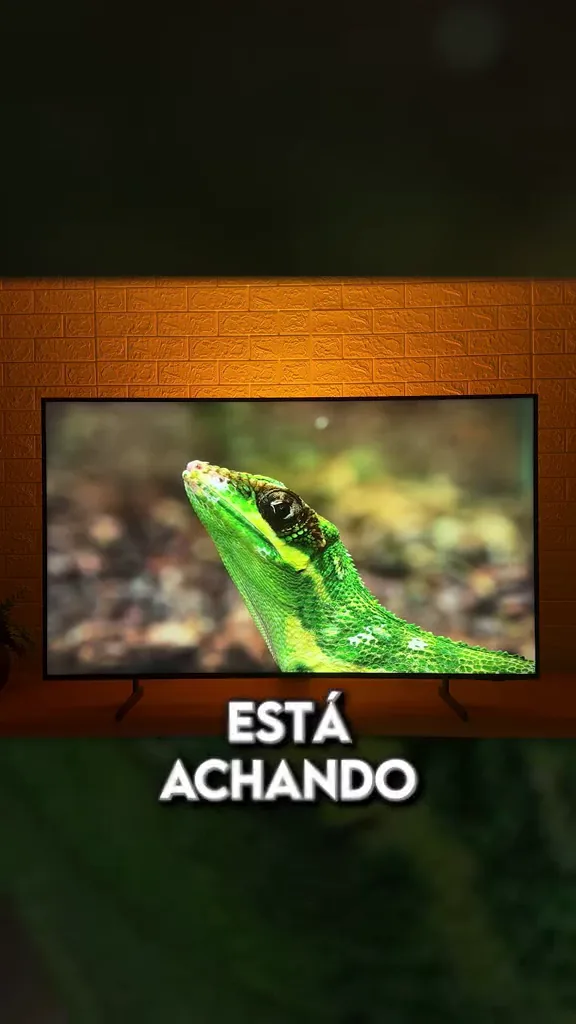 Televisor Samsung QLED exibindo vídeo de natureza com cores vivas