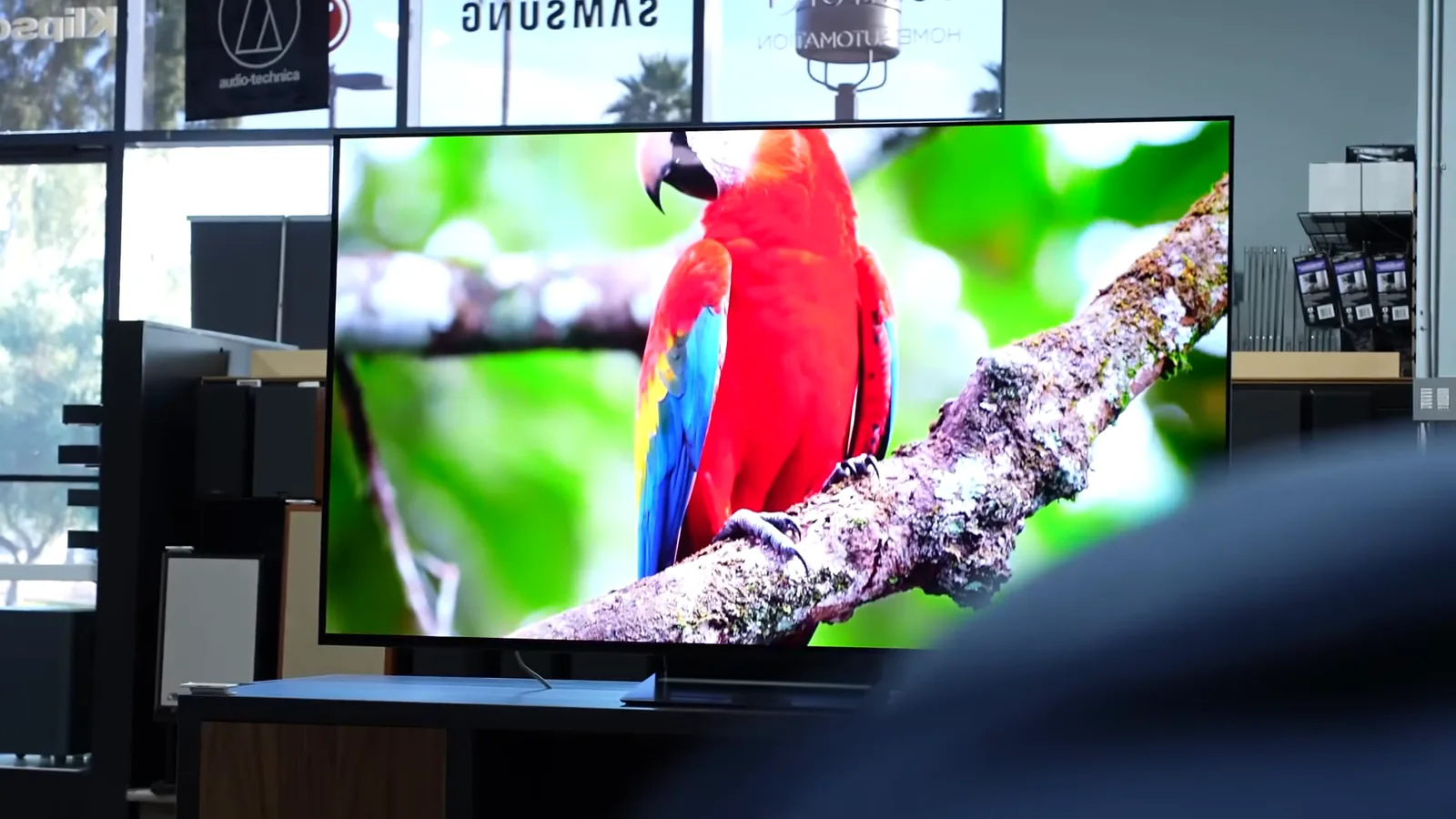 Smart TV Samsung OLED S90F exibindo imagem com cores vivas e pretos profundos