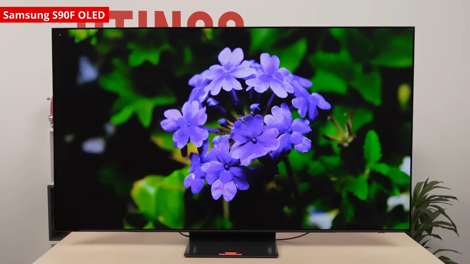 Smart TV Samsung OLED S90F reproduzindo imagem com cores vivas e nitidez