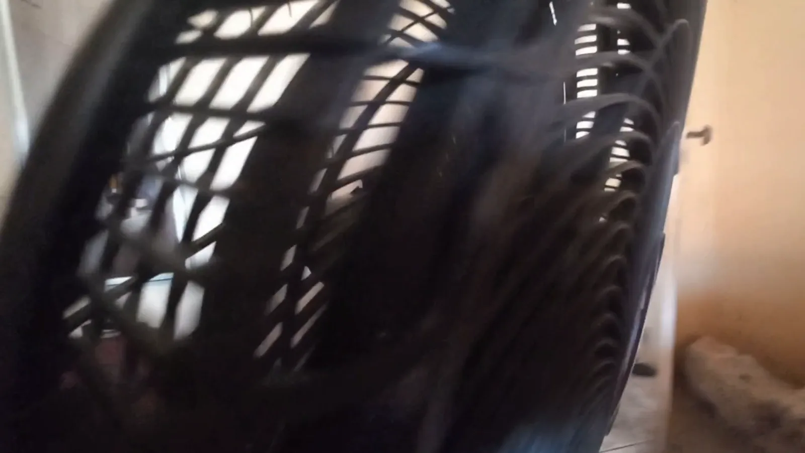 Hélice de seis pás do ventilador Arno girando com vento forte