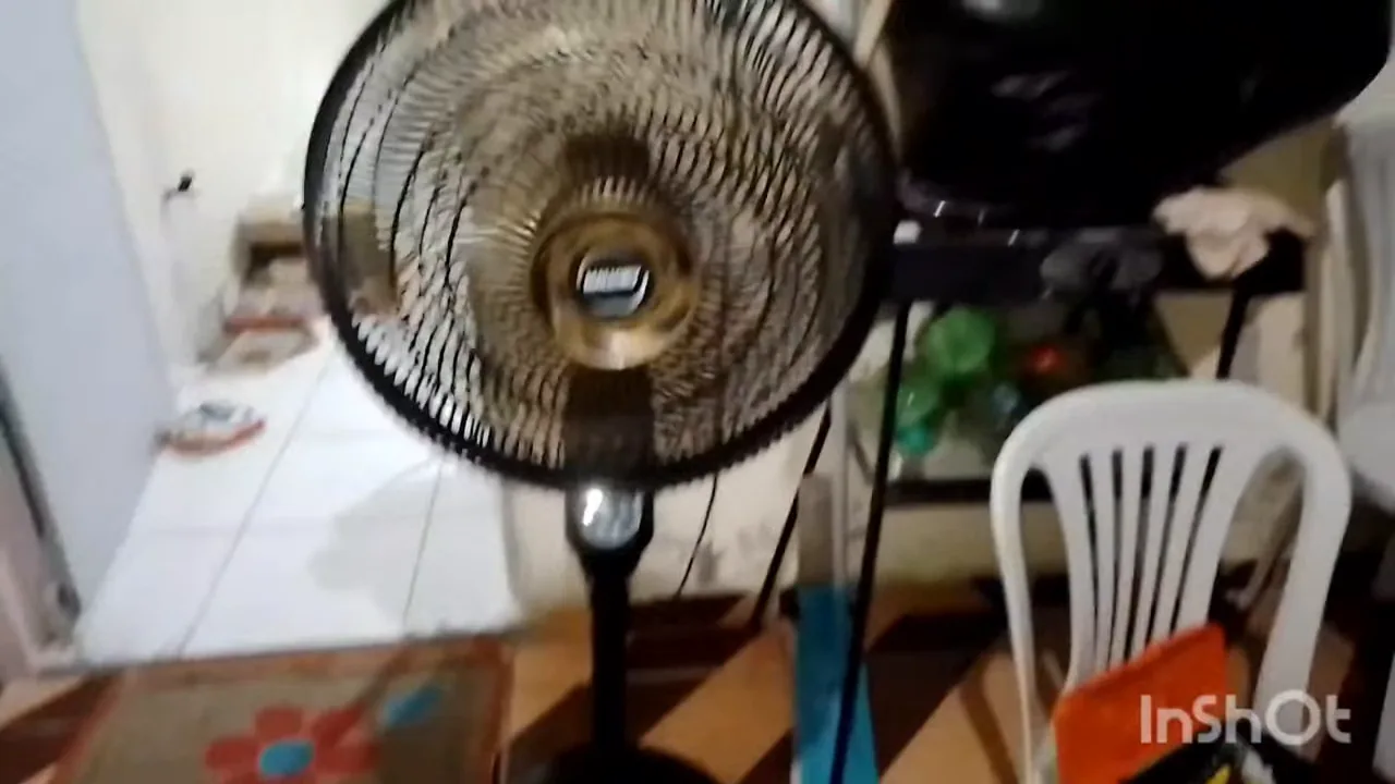 Ventilador Mallory Chronos ligado e realizando oscilação horizontal